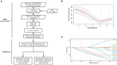 Genome-Wide Analysis Reveals Hypoxic Microenvironment Is Associated With Immunosuppression in Poor Survival of Stage II/III Colorectal Cancer Patients